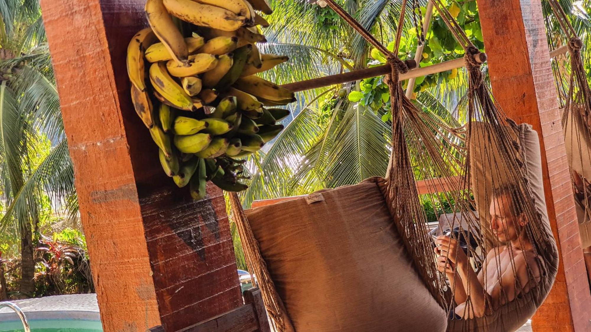 Lobo Hostel - Rurrenabaque (Adults Only) Dış mekan fotoğraf