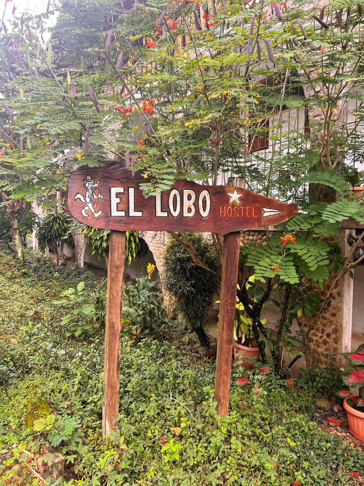 Lobo Hostel - Rurrenabaque (Adults Only) Dış mekan fotoğraf