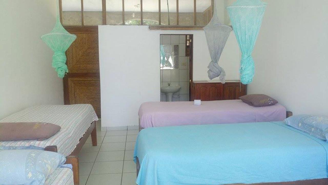 Lobo Hostel - Rurrenabaque (Adults Only) Dış mekan fotoğraf